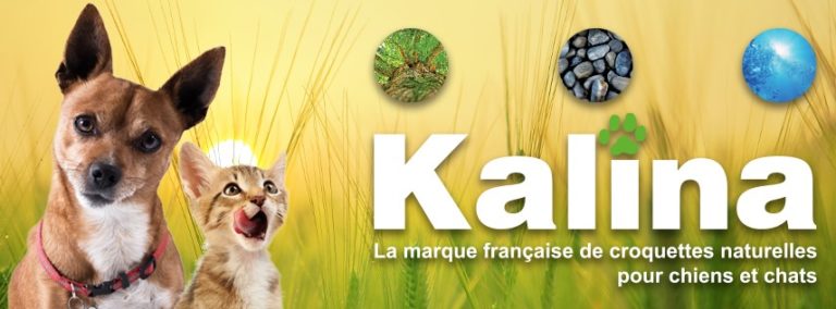 La marque française 768x284