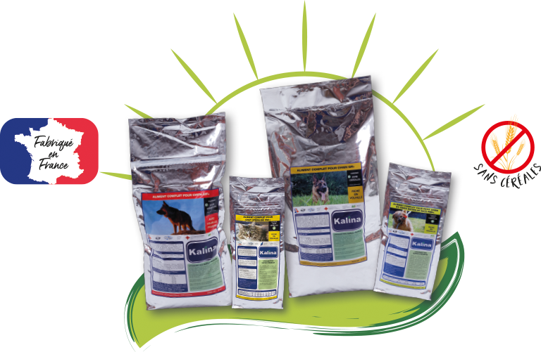 Slide sans cereale Kalina 1 768x501