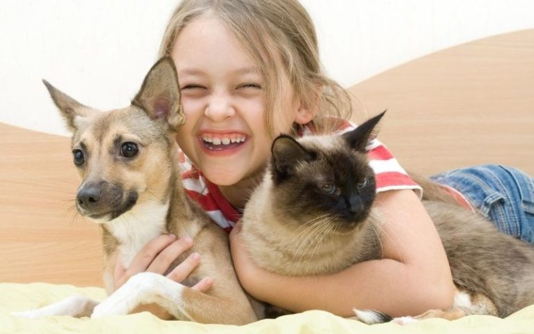 Produits animaux vente directe