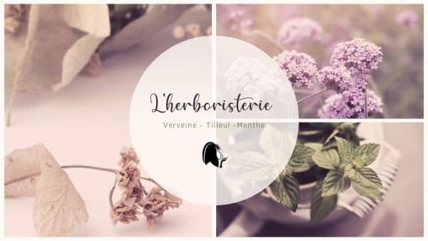 Herboristerie Verveine Tilleul Menthe Parenthese Café