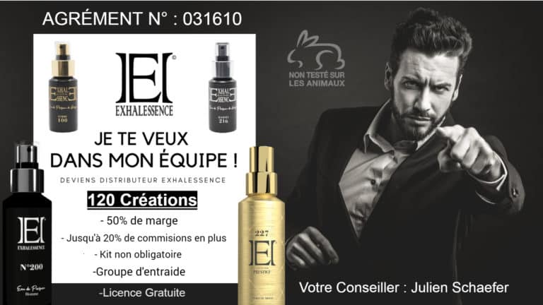 Sans titre 2021 11 05T214828.547 768x432