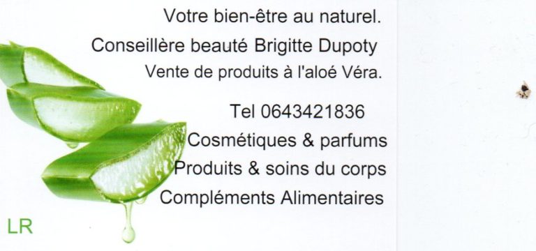 20211209 17511077 1 768x360