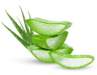 aloe vera fresh