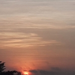 Avatar de l’utilisateur/utilisatrice