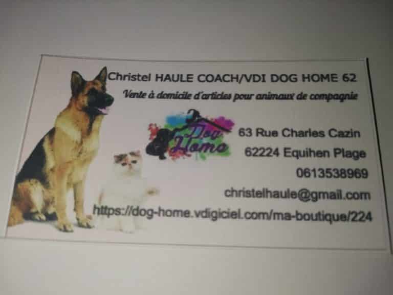 IMG 20221013 100839 768x576